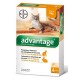ADVANTAGE 40 CHAT ET LAPIN 4 PIPETTES