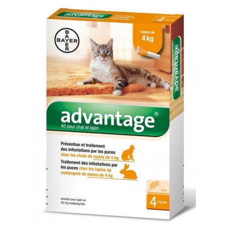 ADVANTAGE 40 CHAT ET LAPIN 4 PIPETTES