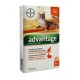 ADVANTAGE 40 CHAT ET LAPIN 6 PIPETTES