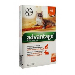 ADVANTAGE 40 CHAT ET LAPIN 6 PIPETTES