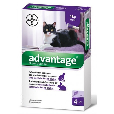 ADVANTAGE 80 CHAT ET LAPIN 4 PIPETTES