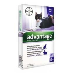 ADVANTAGE 80 CHAT ET LAPIN 6 PIPETTES