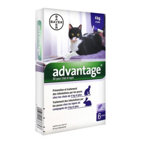 ADVANTAGE 80 CHAT ET LAPIN 6 PIPETTES