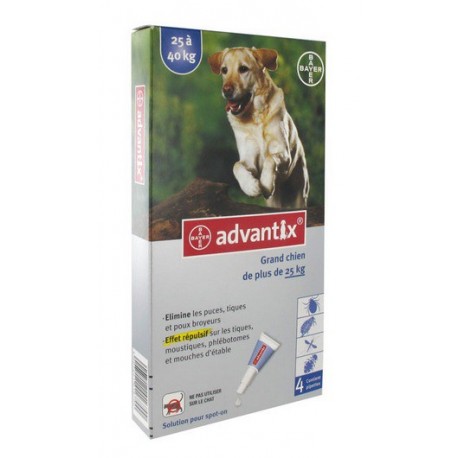 ADVANTIX GRAND CHIEN 4 PIPETTES