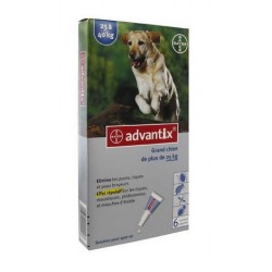 ADVANTIX GRAND CHIEN 6 PIPETTES
