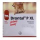 DRONTAL P XL 2 COMPRIMÉS